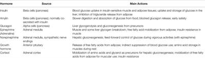 Why Glucagon Matters for Hypoglycemia and Physical Activity in Individuals With Type 1 Diabetes